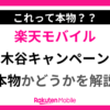 三木谷キャンペーンが本物か怪しい